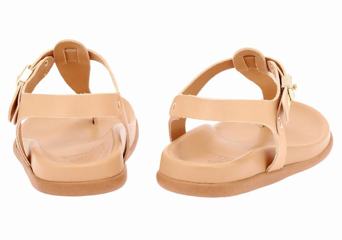 Sandales Bride Arrière Ancient Greek Sandals Alki Flip Flop   | PAM-7976118